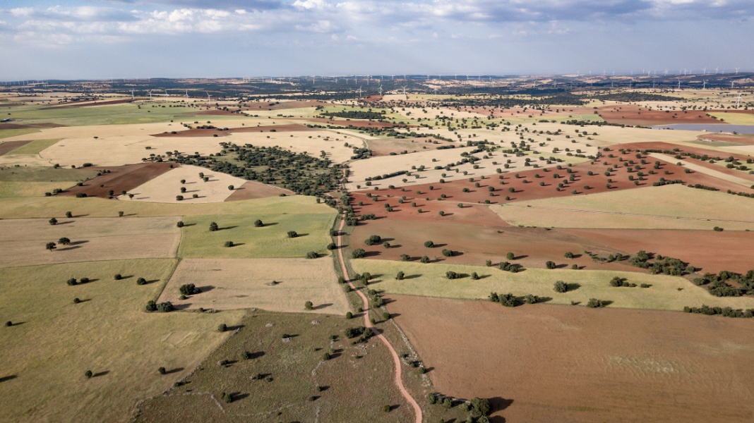 Campos de El Ballestero